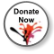 IndieGoGo